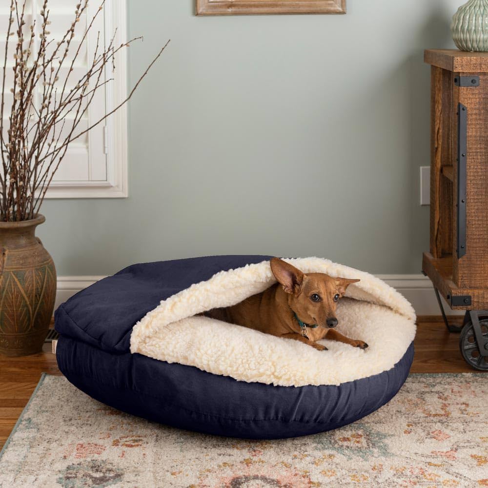 Seasonal Pet Care: Essential Accessories for Every Weather