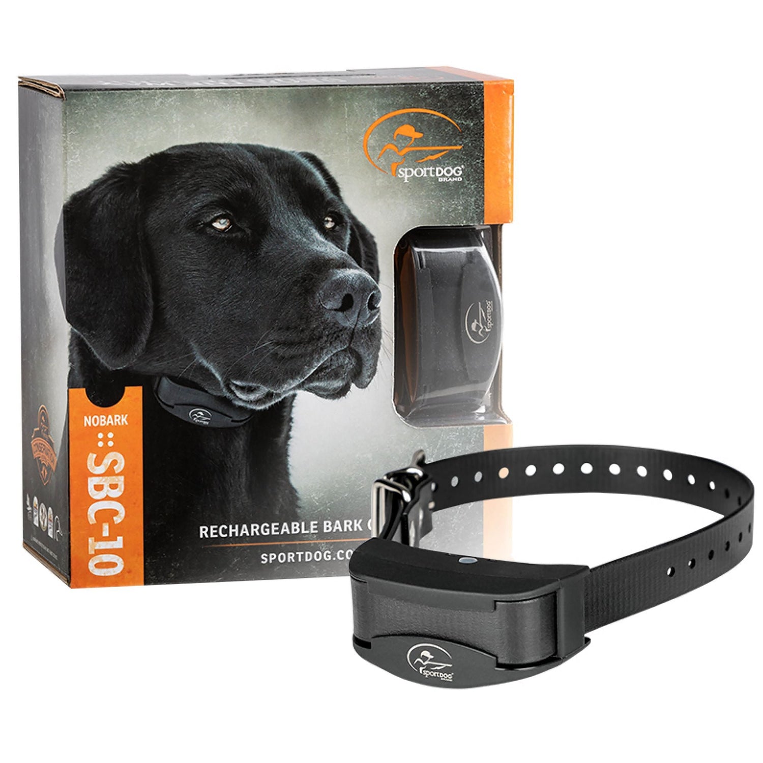 Pet Collars