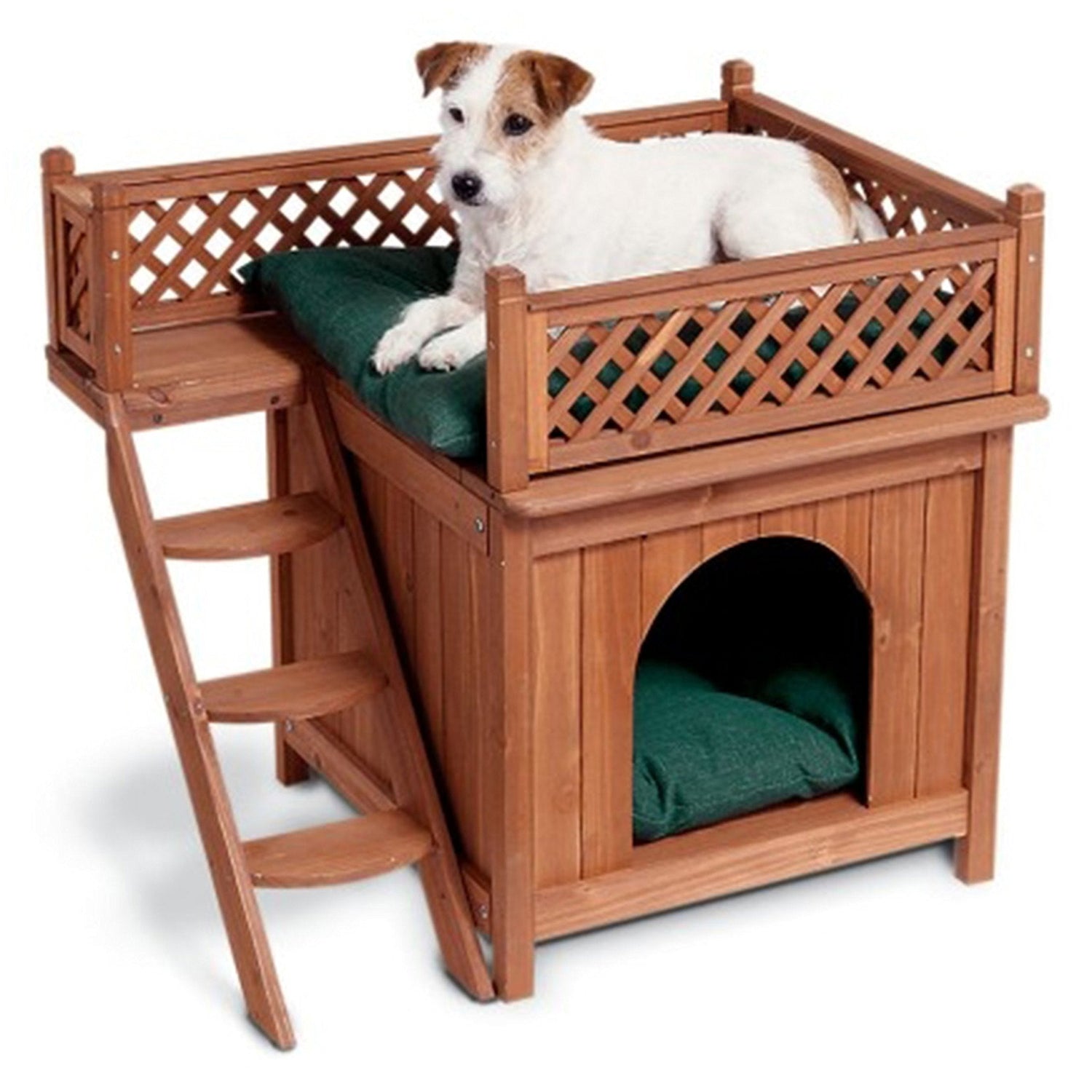 Pet Bed & Houses