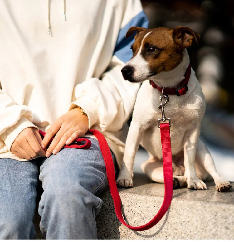 Adjustable Pet Collars Nylon Puppy Kitten Collar Strong And Durable Neck Band Suitable For Small And Medium Dogs And Cats