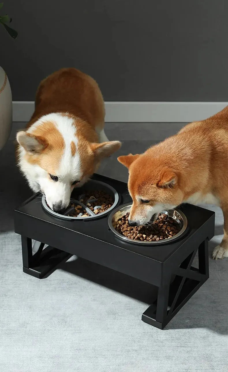 Dog Double Elevated Bowls Stand 3 Adjustable Height Pet Slow Feeding Dish Bowl Medium Big Dog Elevated Food Water Feeders Table
