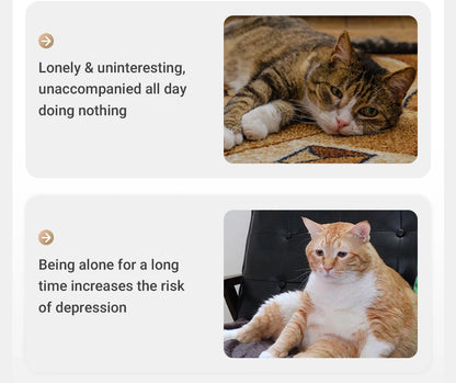 ROJECO Automatic Pet Toy Interactive Adjustable Electric Cat Laser Toy Indoor Smart Teasing Laser Cat Toy For Kitty Dog Supplies