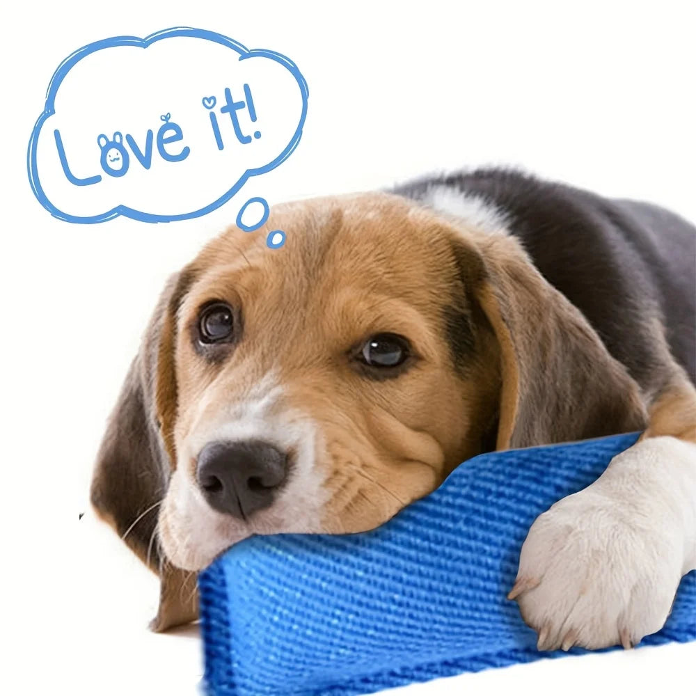 Dog Bite Tug of War Toy, a durable rally toy with 2 soft and sturdy handles,  perfect for tug of war, and puppy training