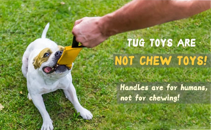 Dog Bite Tug of War Toy, a durable rally toy with 2 soft and sturdy handles,  perfect for tug of war, and puppy training