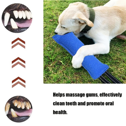 Dog Bite Tug of War Toy, a durable rally toy with 2 soft and sturdy handles,  perfect for tug of war, and puppy training
